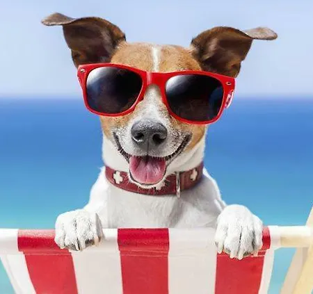 El Amanecer De 2 Calp