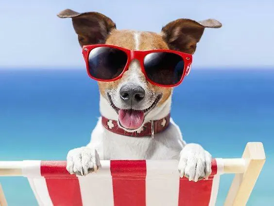 El Amanecer De 2 Calpe